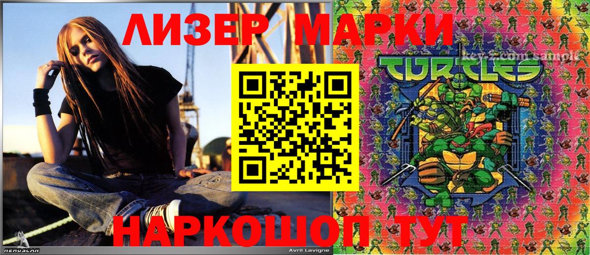 A PVP Камышин