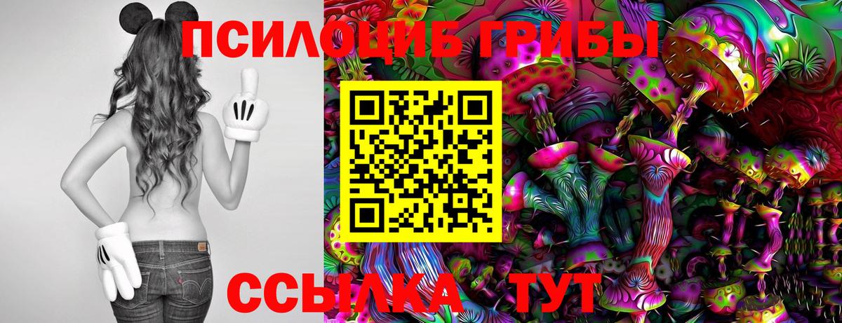 Галлюциногенные грибы прущие грибы Камышин