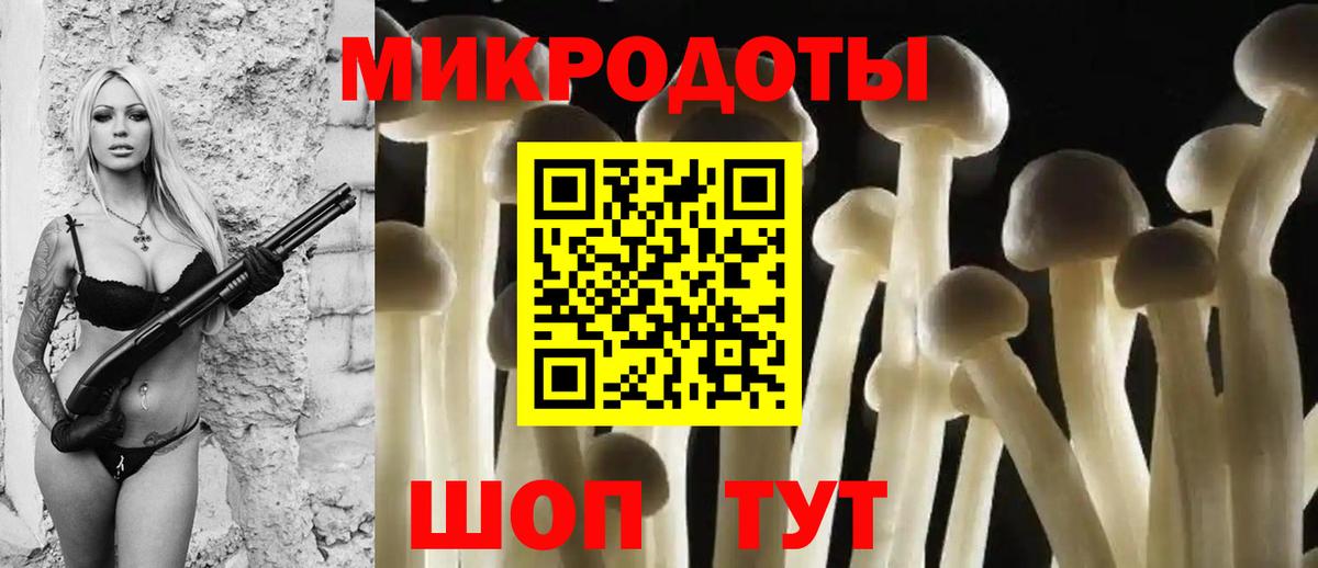 Камышин  Псилоцибиновые грибы GOLDEN TEACHER  Вход с VPN 